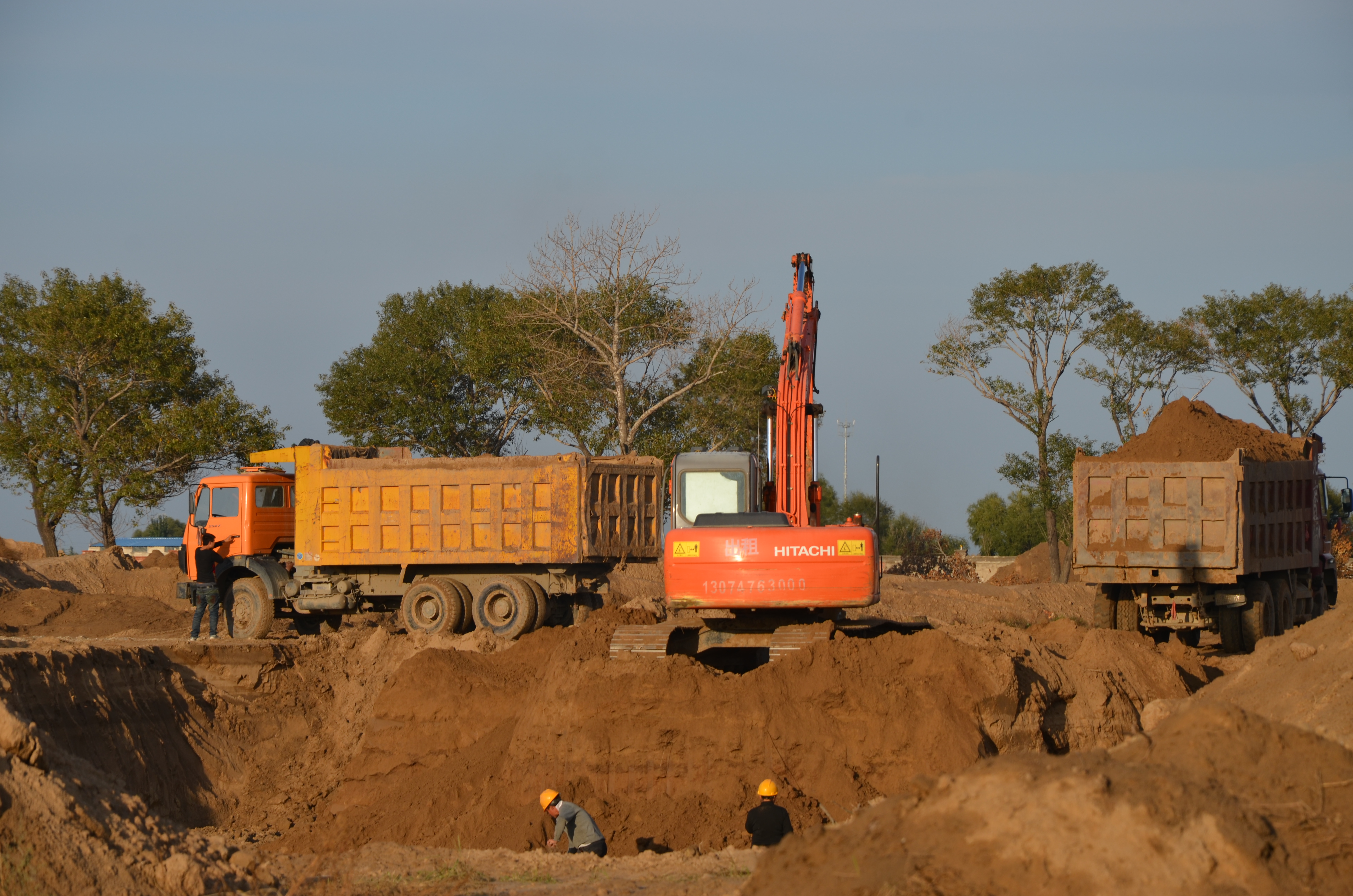 DSC_1602.jpg DSC_1602.jpg